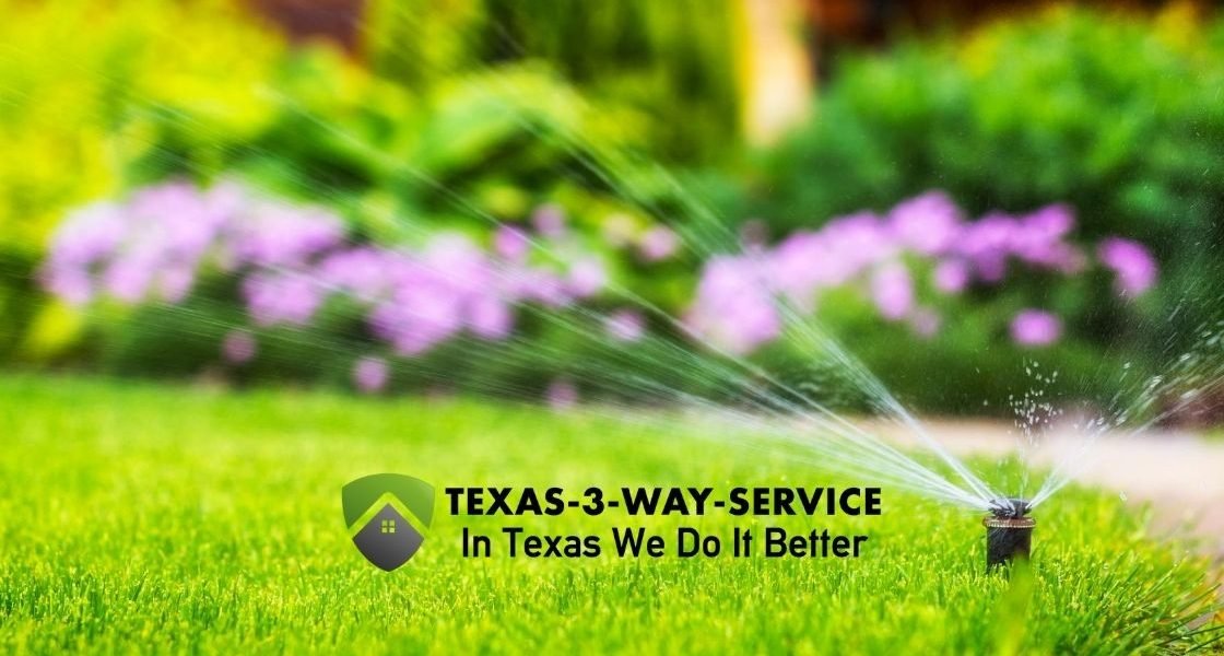 Ultimate Guide To Watering Your Lawn Texas 3 Way Service